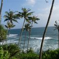Voyage au Sri Lanka - direction Mirissa, l'océan, et la côte sud de l'île