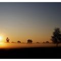 Encore un matin où je vais arriver au travail