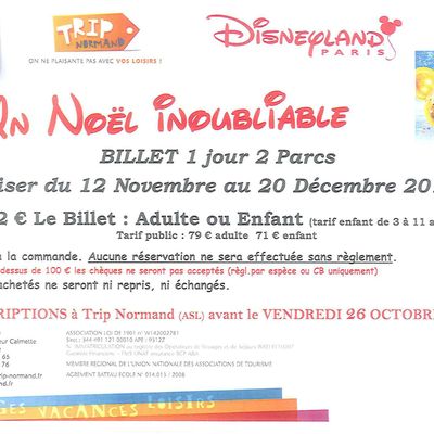 DISNEYLAND AVEC TRIP NORMAND 