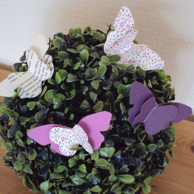 Papillons sous cloche