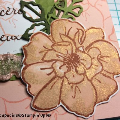 La rose en détails ...