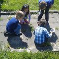 Classe de madame Véronique - le jardin et les petits explorateurs.