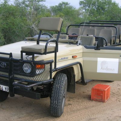  AFRIQUE DU SUD -Parc Krüger