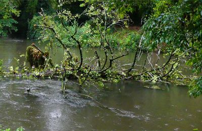 Première victime de la crue.