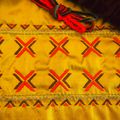 Broderie d'inspiration phulkari.