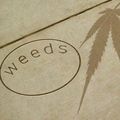[DL] Weeds