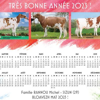Bonne année ! Bloavezh mat ! 