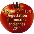 Dégustation de tomates anciennes